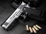 Tokyo Marui Limited Edition Dual Stainless Hi-Capa Custom Airsoft Gas Blowback