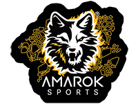 Amarok Sports
