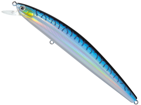 Blue Mackerel D24