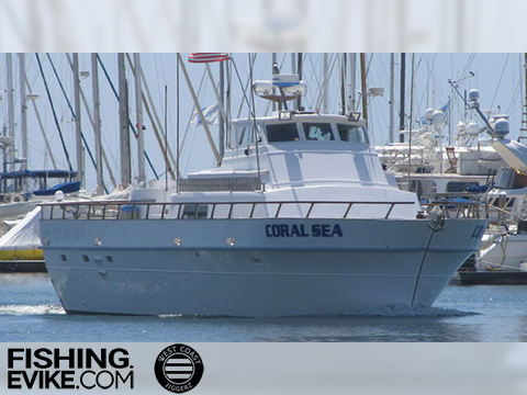 Evike x West Coast Jiggerz Charter  3/4 Day Jigging Focused Trip on the Coral Sea 