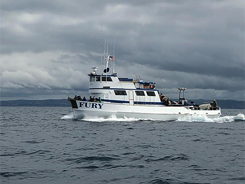 Evike Charter - 2 Day on the Fury (Date: 11/15 9:00PM ~ 11/17 7:00PM - 2024)
