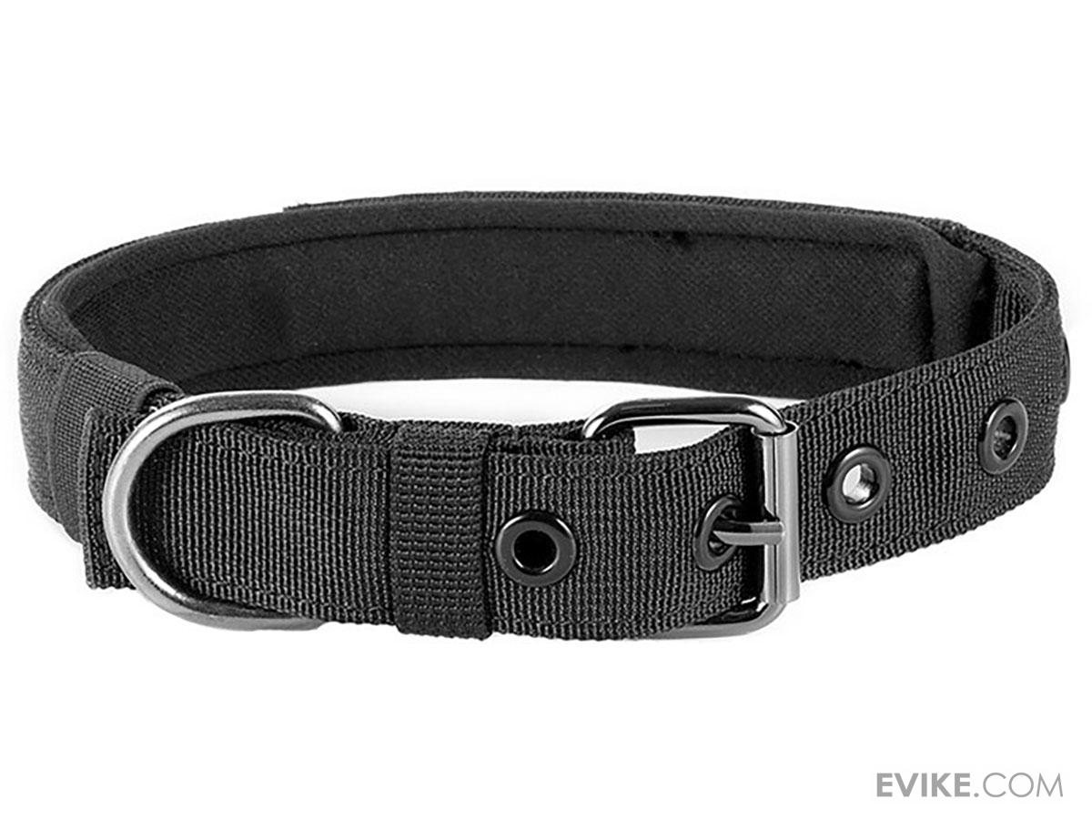 What Color Collar Looks Good On A Black Dog