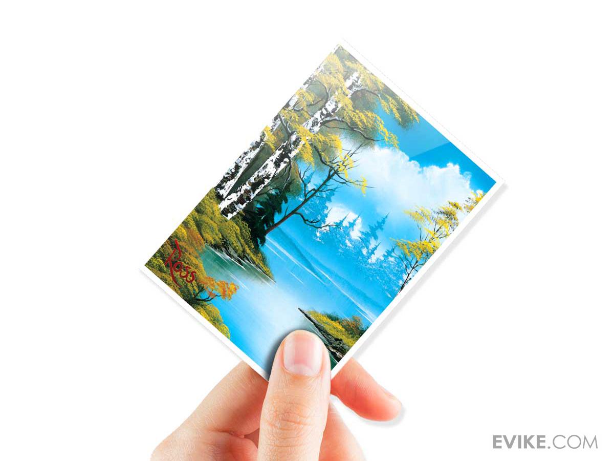 bob ross card sleeves Mountain Retreat 105ct APEX Deck Protector a refreshing spring forest landscape of newly sprouted birch leaves against a brisk blue sky with fluffy white clouds reflected in a tranquil lake for bringing the joy of nature to your next game night Bob Ross Headcase Alcove Flip