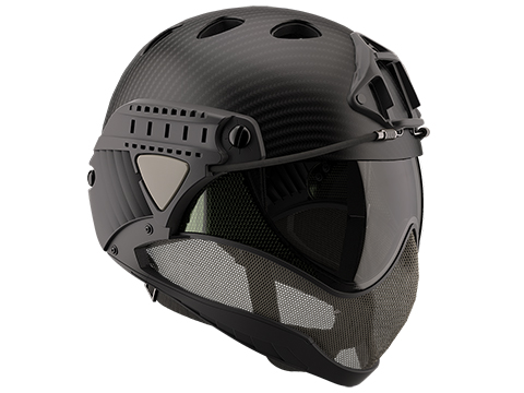 WARQ Custom Full Face Protection Helmet System (Color: Carbon / Clear Lens)